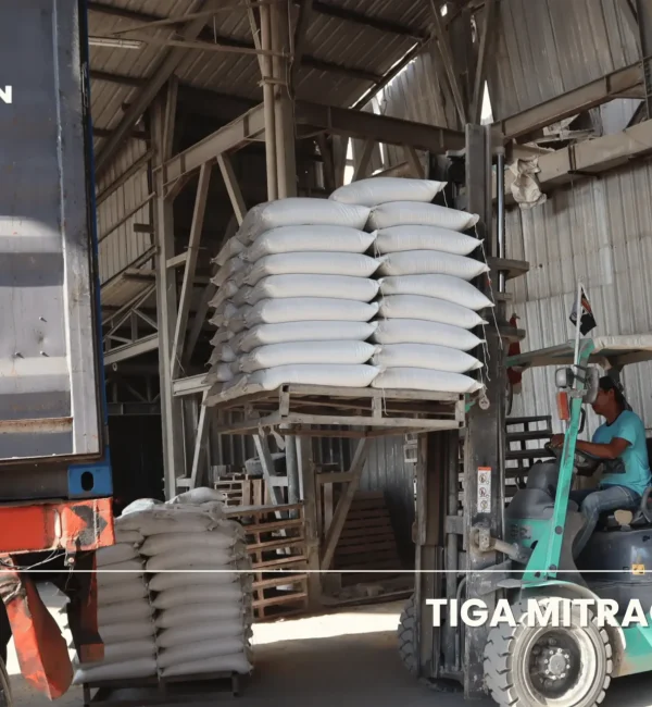 Pengiriman semen mortar dan material bangunan di gudang PT Tiga Mitracon Indonesia Cabang Jogja menggunakan forklift